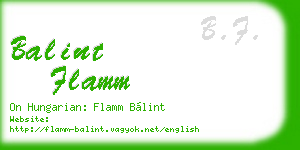balint flamm business card