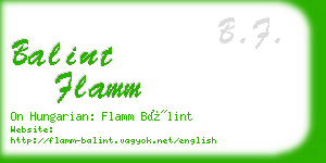 balint flamm business card